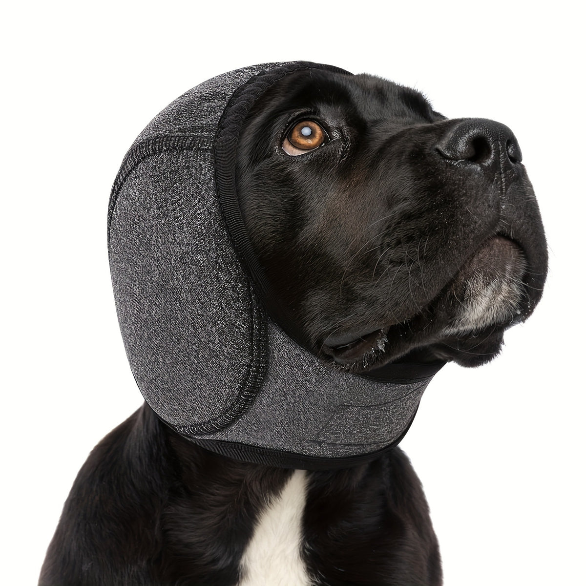 Cache-oreilles anti-bruit pour chien, coloris gris foncé
