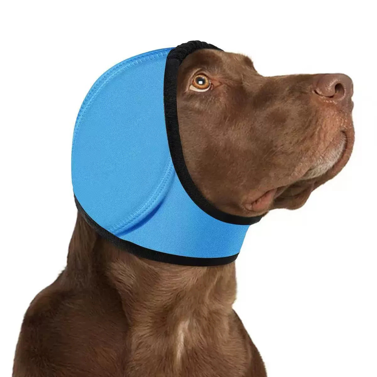 Cache-oreilles anti-bruit pour chien, coloris bleu ciel