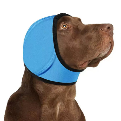 Cache-oreilles anti-bruit pour chien, coloris bleu ciel