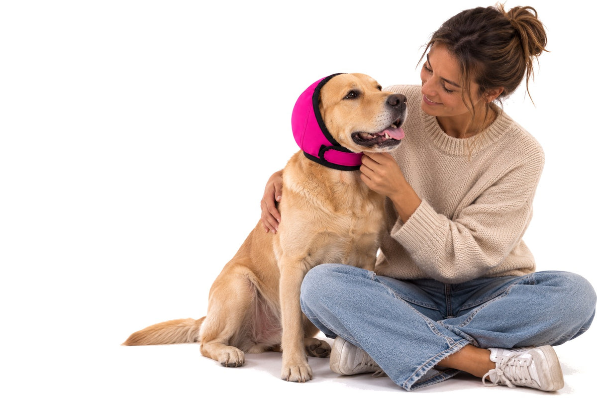 Femme assise avec son labrador qui porte le cache-oreilles Calmoreille